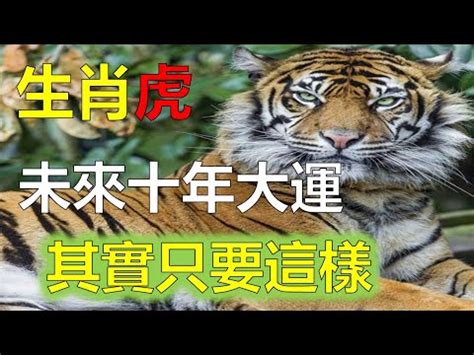 2023虎年運程1974顏色|1974年属虎人2023年运势及运程 74年49岁生肖虎2023年每月运。